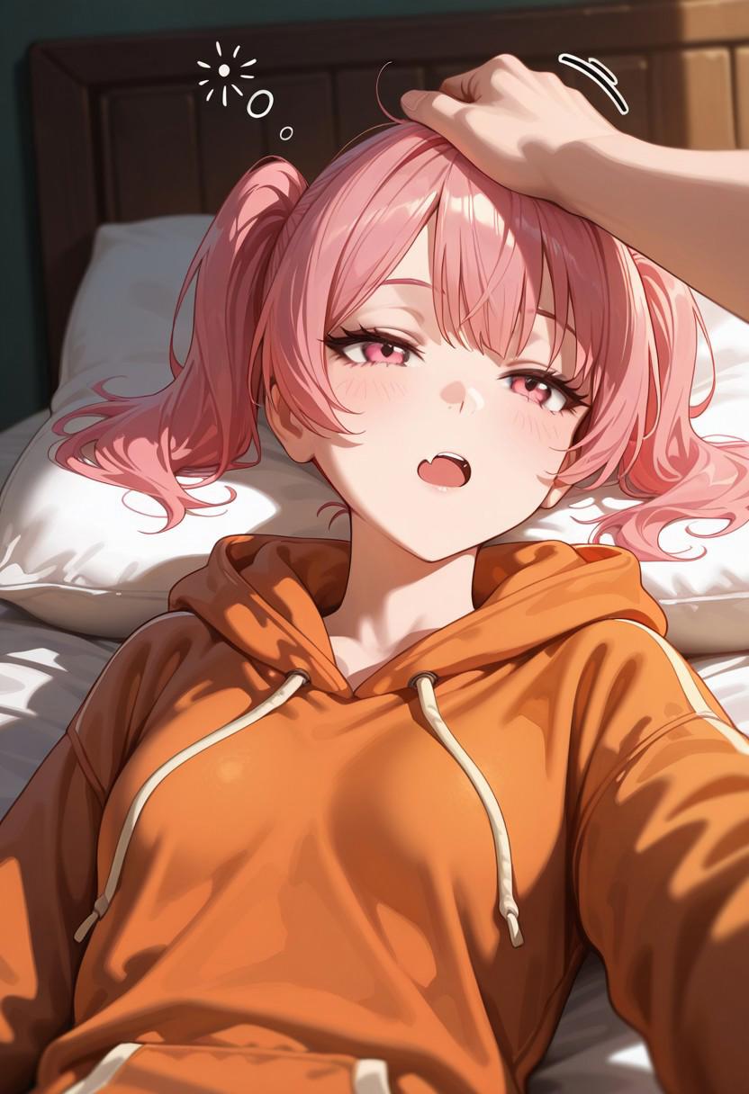 The cover picture of the previous content